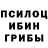 Псилоцибиновые грибы Psilocybe opoku
