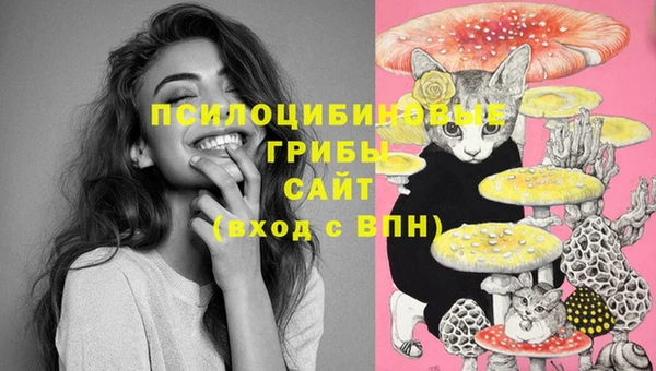 винт Аркадак