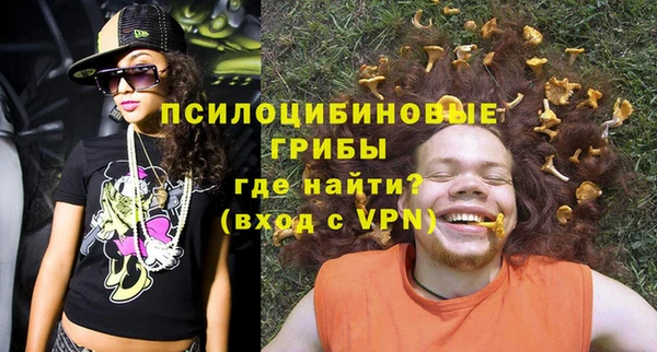 винт Аркадак
