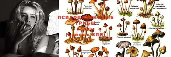 винт Аркадак
