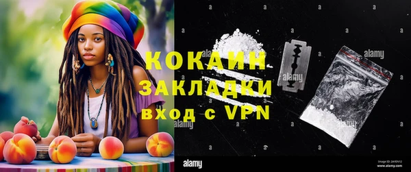 винт Аркадак