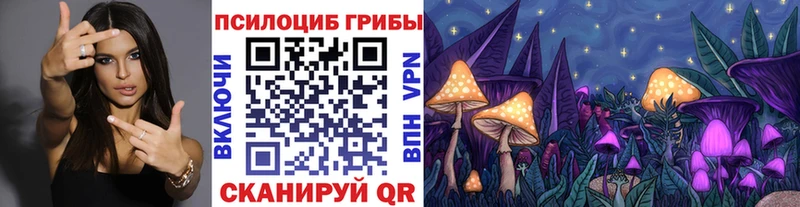 Псилоцибиновые грибы Psilocybe  Верхнеуральск 